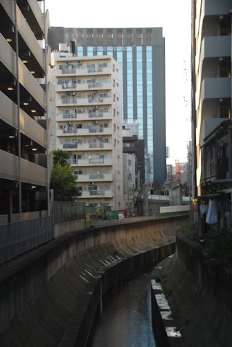 2014_autumn_shibuya_03.jpg