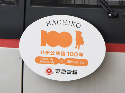 hachi_100th_02