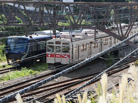 相鉄21000系が東急へ甲種輸送の画像