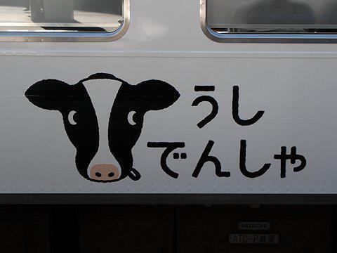 cow_train_kd_04.jpg