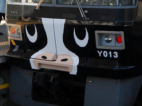 cow_train_kd_05.jpg