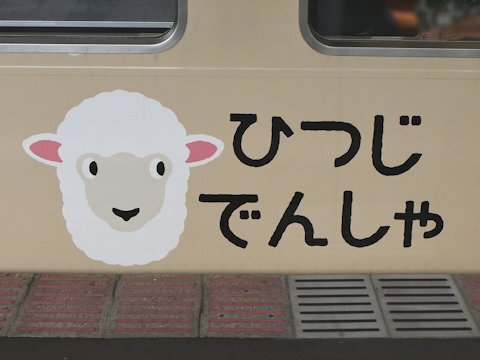 sheep_train_kd_02