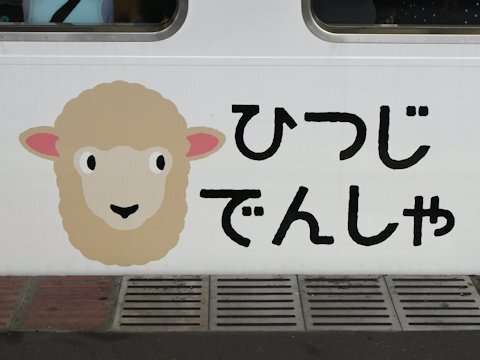 sheep_train_kd_04